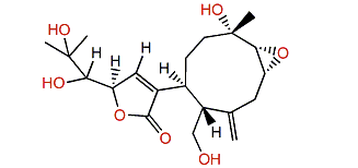 Novaxenicin C